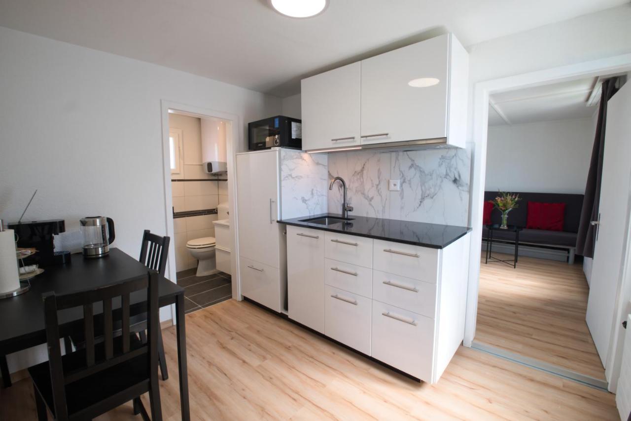 Lake Getaway Apartment With Private Entrance, Right On The Lake Constance Cycle Path, Barbecue Area, Free Wifi, Netflix And Free Bikes Salmsach Εξωτερικό φωτογραφία