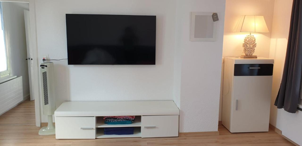 Lake Getaway Apartment With Private Entrance, Right On The Lake Constance Cycle Path, Barbecue Area, Free Wifi, Netflix And Free Bikes Salmsach Εξωτερικό φωτογραφία